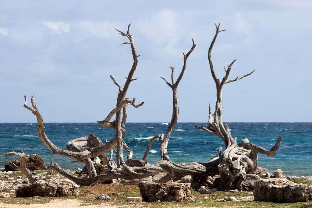 Wanapa Lodge Bonaire Bagian luar foto