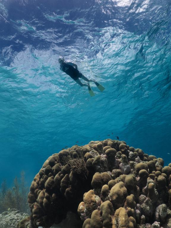 Wanapa Lodge Bonaire Bagian luar foto